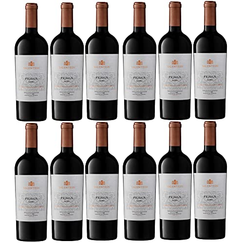 Bodegas Salentein Primus Malbec Rotwein Wein Trocken Mendoza Argentinien inkl. FeinWert E-Book (12 x 0,75l) von FeinWert