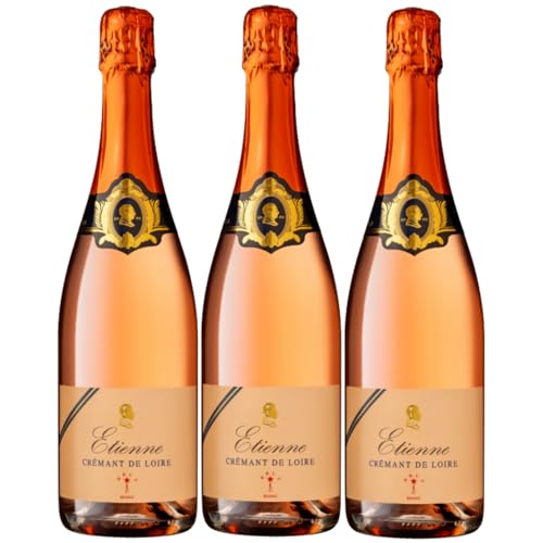 Bouvet Ladubay Etienne Brut Rosé Crémant de Loire AOC Frankreich Inkl. FeinWert E-Book (3 x 0,75l) von FeinWert