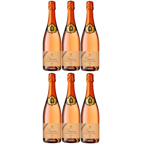 Bouvet Ladubay Etienne Brut Rosé Crémant de Loire AOC Frankreich Inkl. FeinWert E-Book (6 x 0,75l) von FeinWert