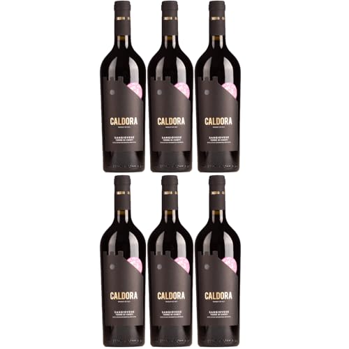 Caldora Sangiovese Terre di Chieti Rotwein Rot trocken Italien inkl. FeinWert E-Book (6 x 0,75l) von FeinWert