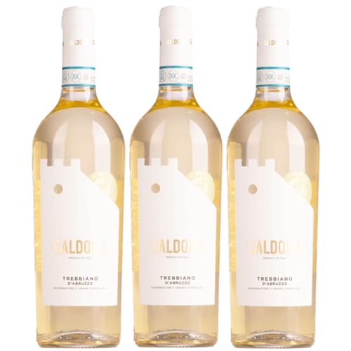 Caldora Trebbiano d'Abruzzo Weisswein Weiss trocken Italien inkl. FeinWert E-Book (3 x 0,75l) von FeinWert