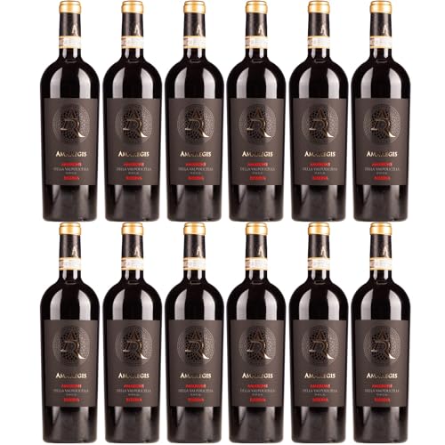 Cielo e Terra Amaregis Amarone Riserva Rotwein Rot Trocken Italien inkl. FeinWert E-Book (12 x 0,75l) von FeinWert