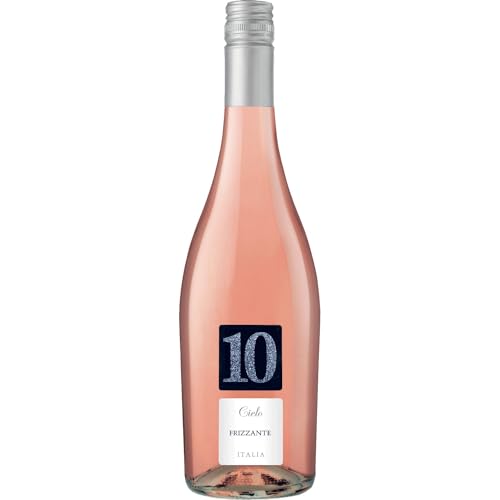 Cielo e Terra Frizzante Rosé Veneto Schaumwein Wein Italien inkl. FeinWert E-Book (1 x 0,75l) von FeinWert