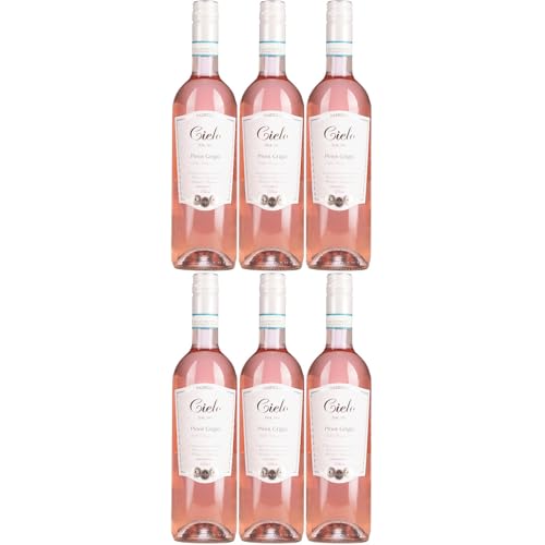 Cielo e Terra Pinot Grigio Roséwein Trocken Rosé Blush Italien inkl. FeinWert E-Book (6 x 0,75l) von FeinWert