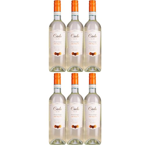 Cielo e Terra Pinot Grigio Weisswein Wein Trocken IGT Veneto Italien inkl. FeinWert E-Book (6 x 0,75l) von FeinWert