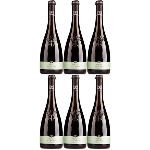 Cielo e Terra Pradio Friuli Sauvignon Blanc Weisswein Weiss Trocken Italien inkl. FeinWert E-Book (6 x 0,75l) von FeinWert