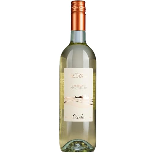 Cielo e Terra Trebbiano Pinot Grigio Weisswein Trocken Weiß Italien inkl. FeinWert E-Book (1 x 0,75l) von FeinWert