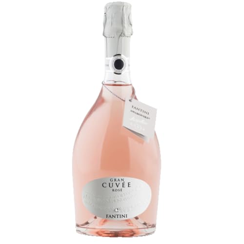 Fantini Gran Cuvée Rosé Sparkling Schaumwein trocken Italien inkl. FeinWert E-Book (1 x 0,75l) von FeinWert