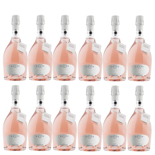 Fantini Gran Cuvée Rosé Sparkling Schaumwein trocken Italien inkl. FeinWert E-Book (12 x 0,75l) von FeinWert