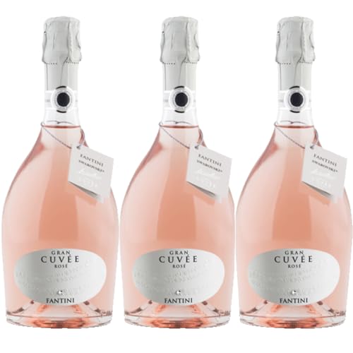 Fantini Gran Cuvée Rosé Sparkling Schaumwein trocken Italien inkl. FeinWert E-Book (3 x 0,75l) von FeinWert