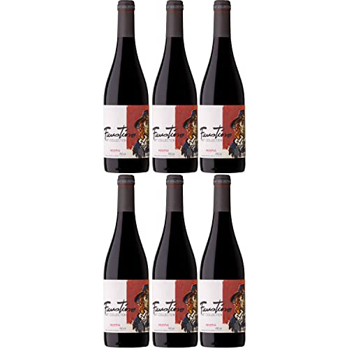 Faustino Art Collection Reserva Rotwein Wein trocken Spanien I Visando Paket (6 Flaschen) von FeinWert