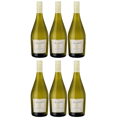 Feudo Arancio Frizzante Bianco Sicilia DOC Sizilien Schaumwein Weisswein halbtrocken Italien inkl. FeinWert E-Book (6 x 0.75l) von FeinWert