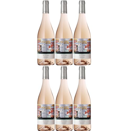 Frescobaldi Attems Ramato Pinot Grigio Friuli DOC Rosé Wein Trocken Toskana inkl. FeinWert E-Book (6 x 0,75l) von FeinWert