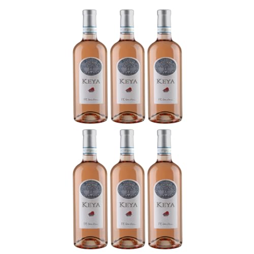 Guerrieri Rizzardi - KEYA Chiaretto Bardolino Classico DOC Corvina Rondinella Sangiovese Molinara Negrara Roséwein Italien rosé trocken inkl. FeinWert E-Book (6 x 0,75l) von FeinWert