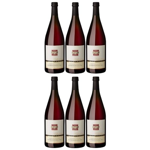 Heilbronner Staufenberg Schwarzriesling feinfruchtig Rotwein Schwarzriesling Deutschland inkl. FeinWert E-Book (6 x 1l) von FeinWert