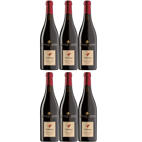 Lambrusco Grasparossa DOC Codarossa Rotwein Wein lieblich Italien I Visando Paket (6 x 0,75l) von FeinWert