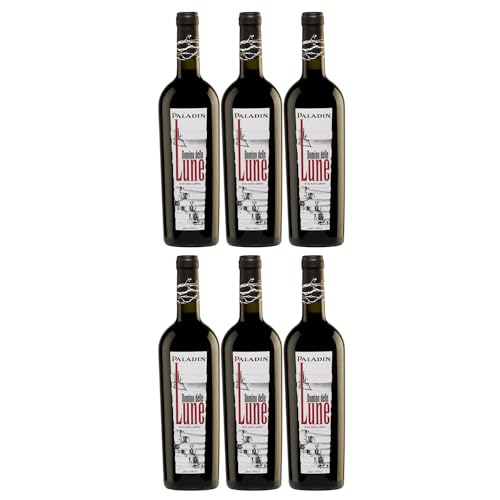 Paladin Paladin Domino delle Lune Rosso Halbtrocken Rotwein Vegan Italien inkl. FeinWert E-Book (6 x 0,75 l) von FeinWert