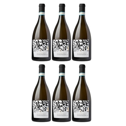 Questo Amico - Custoza DOC Garganega Trebbiano Trebbianello Cortese Weißwein Italien weiß trocken inkl. FeinWert E-Book (6 x 0,75l) von FeinWert