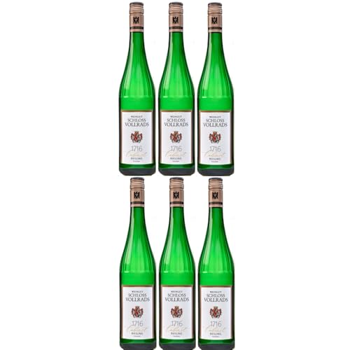 Schloss Vollrads "1716 Cabinet" trocken Riesling VDP. ORTSWEIN trocken Weißwein Deutschland inkl. FeinWert E-Book (6 x 0,75l) von FeinWert