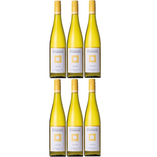 Schloss Vollrads Sommer trocken Weißwein Bio Deutschland Riesling inkl. FeinWert E-Book (6 x 0,75l) von FeinWert