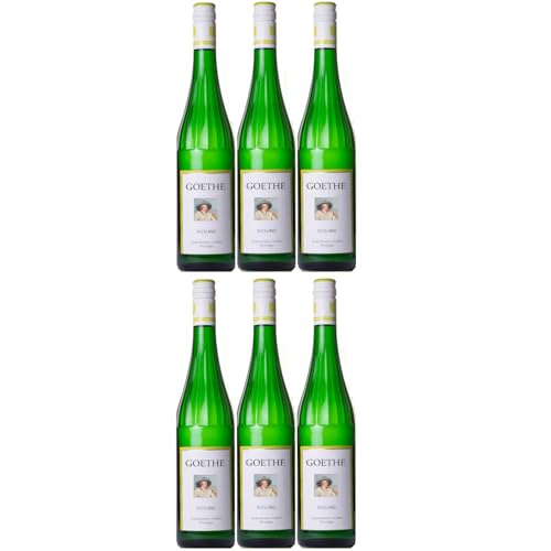 Schloss Vollrads Wgt. "Goethe" Riesling VDP. GUTSWEIN trocken Weißwein BIO Deutschland inkl. FeinWert E-Book (6 x 0,75l) von FeinWert