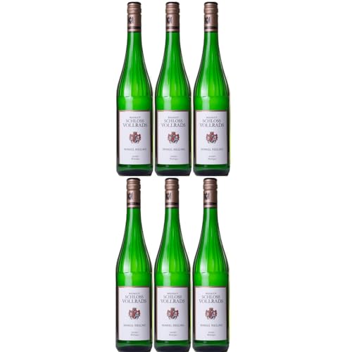 Schloss Vollrads Winkel Riesling trocken VDP. ORTSWEIN trocken Weißwein Bio Deutschland inkl. FeinWert E-Book (6 x 0,75l) von FeinWert