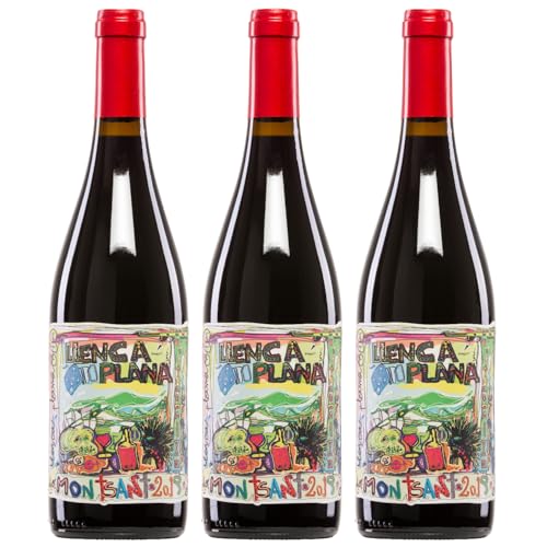 Terra de Falanis Llenca Plana Vegan Rotwein Trocken Spanien inkl. FeinWert E-Book (3 x 0,75l) von FeinWert