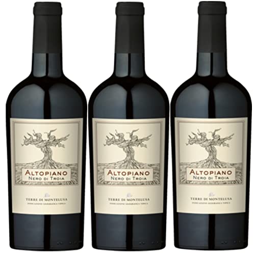 Terre di Montelusa Altopiano Nero di Troia Puglia IGT Rotwein Trocken Vegan Italien inkl. FeinWert E-Book (3 x 0,75l) von FeinWert