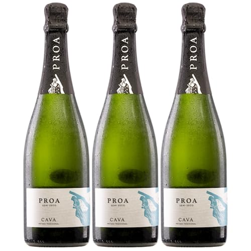 Vallformosa Cava Proa Semi Seco Halbtrocken Schaumwein Vegan Spanien inkl. FeinWert E-Book (3 x 0,75 l) von FeinWert