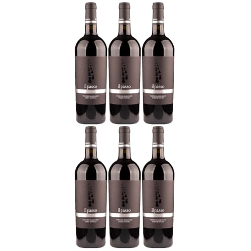 Vigneti Zabu Il Passo Nerello Mascalese Nero d'Avola Rotwein Rot halbtrocken Italien inkl. FeinWert E-Book (6 x 0,75l) von FeinWert