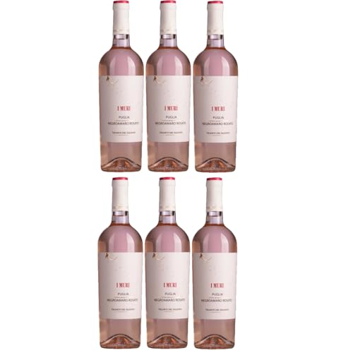 Vigneti del Salento I Muri Puglia Negroamaro Rosato Roséwein halbtrocken Italien inkl. FeinWert E-Book (6 x 0,75l) von FeinWert