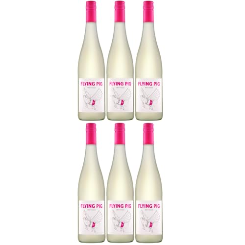 Weingut Uli Metzger Flying Pig Weiß Perlwein Deutschland inkl. FeinWert E-Book (6 x 0,75l) von FeinWert