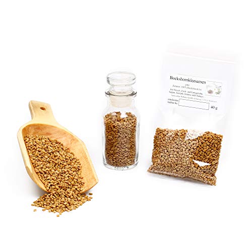 Bockshornkleesamen, Bockshornklee ganz, Curry Gewürz indisch, naturbelassen, Premium Qualität, Brotgewürz, Fenugreek Seeds Whole, glutenfrei, 40g von NUGOYA