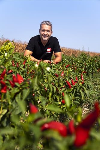 SZABIO Ungarischer Paprika, Süße Paprikapulver, 200g von Feinkost-aus-Ungarn.de Import - Vertrieb und Grosshandel