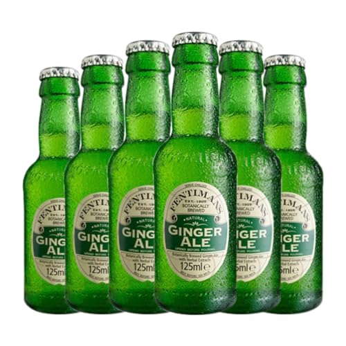 Getränke und Mixer Fentimans Ginger Ale Miniaturflasche 12 cl (Schachtel mit 6 Miniaturflasche von 12 cl)