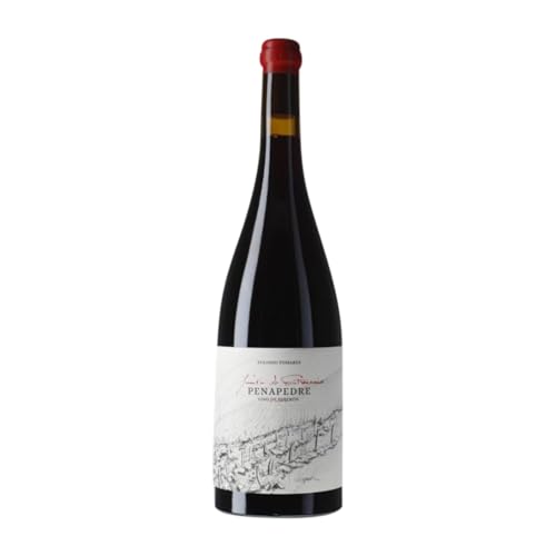 Fento O Estranxeiro Finca Penapedre Ribeira Sacra 75 cl Rotwein von Fento Wines