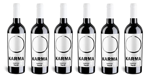 6x 0,75l - 2020er - Ferro 13 - Karma - Primitivo - Salento I.G.P. - Apulien - Italien - Rotwein trocken von Ferro 13