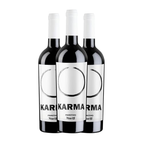 Ferro 13 Karma Primitivo Salento 75 cl Rotwein (Karton mit 3 Flaschen von 75 cl) von Ferro 13