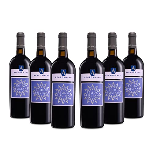 Feudo Apuliano Negroamaro Salento IGP, Rotwein mit Abgerundetem und Vollem Geschmack, und Intensivem und Komplexem Bouquet, 14,5 % Vol., Karton mit 6 Flaschen mit jeweils 750 ml von Feudo Apuliano