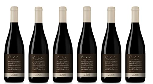 6x 0,75l - 2021er - Feudo Arancio - Cantodoro - Rosso Riserva - Sicilia D.O.P. - Sizilien - Italien - Rotwein trocken von Feudo Arancio