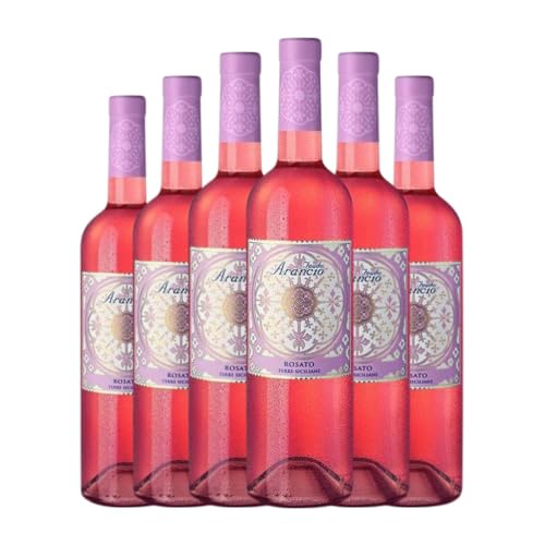 Feudo Arancio Rosato Nero d'Avola Terre Siciliane 75 cl Rosé-Wein (Karton mit 6 Flaschen von 75 cl) von Feudo Arancio