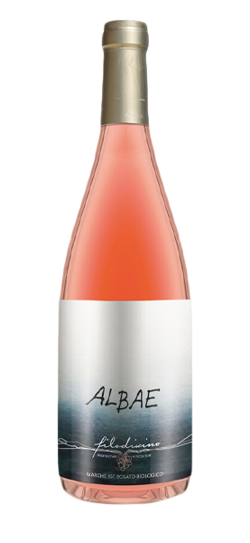 "Albae" Marche Rosato IGT 2022 von Filodivino