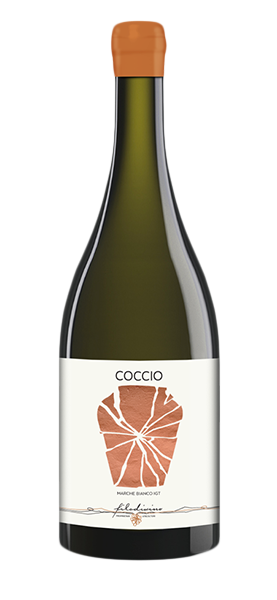 "Coccio" Marche Bianco IGT 2022 von Filodivino