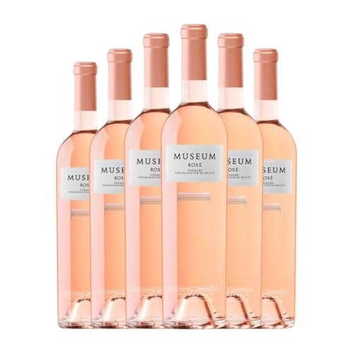 Museum Rosé Cigales 75 cl Rosé-Wein (Karton mit 6 Flaschen von 75 cl) von Finca Museum Viñedos y Bodegas