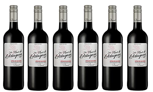 6x 0,75l - 2023er - Fleur de d'Artagnan - Rouge - Côtes de Gascogne I.G.P. - Frankreich - Rotwein trocken von Fleur de d'Artagnan