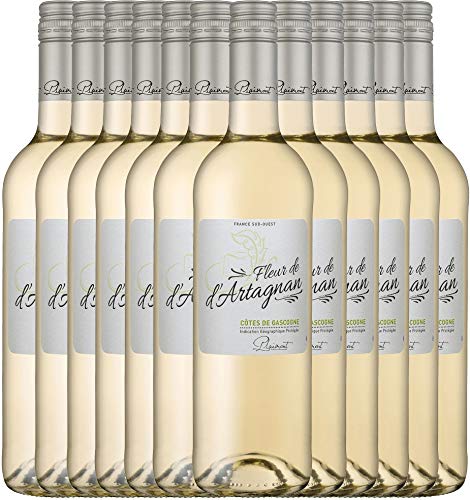 Fleur de d'Artagnan Blanc von Plaimont - Weißwein 12 x 0,75l 2021 VINELLO - 12er - Weinpaket inkl. kostenlosem VINELLO.weinausgießer von Fleur de d´Artagnan