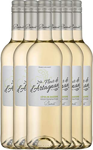 Fleur de d'Artagnan Blanc von Plaimont - Weißwein 6 x 0,75l 2021 VINELLO - 6er - Weinpaket inkl. kostenlosem VINELLO.weinausgießer von Fleur de d´Artagnan