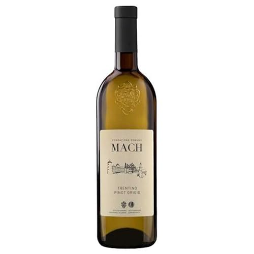 PINOT GRIGIO Trentino 2023 Fondazione MACH von Fondazione E. MACH