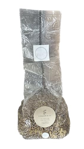 Forager & Co. 1,4 kg Bio Super Spawn Beutel für Indoor Pilz Culatioin von Forager & Co.