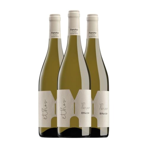 Forchir Ethos Bianco 75 cl Weißwein (Karton mit 3 Flaschen von 75 cl) von Forchir